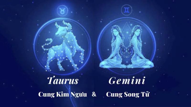 Kim Song: lai giữa Kim Ngưu và Song Tử (19/5 - 24/5) Kim Song: lai giữa Kim Ngưu và Song Tử (19/5 - 24/5)